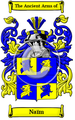 Naïm Family Crest Download (JPG) Heritage Series - 600 DPI