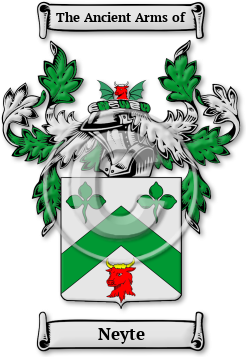 Neyte Family Crest Download (jpg) Legacy Series - 150 DPI