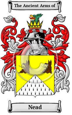 Nead Family Crest Download (JPG) Heritage Series - 300 DPI