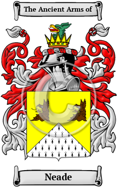 Neade Family Crest Download (JPG) Heritage Series - 600 DPI