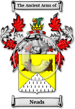 Neads Family Crest Download (jpg) Legacy Series - 150 DPI
