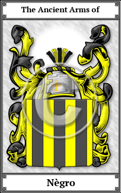 Nègro Family Crest Download (JPG)  Book Plated - 150 DPI