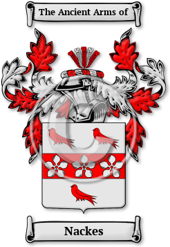 Nackes Family Crest Download (jpg) Legacy Series - 150 DPI