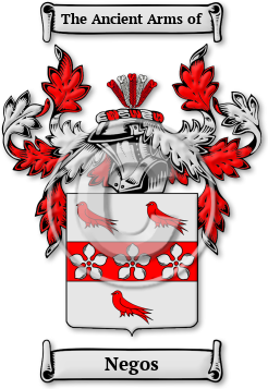 Negos Family Crest Download (JPG) Legacy Series - 600 DPI