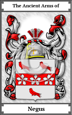 Negus Family Crest Download (JPG) Book Plated - 600 DPI