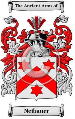Neibauer Family Crest Download (JPG) Heritage Series - 600 DPI