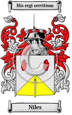 Niles Family Crest Download (JPG) Heritage Series - 600 DPI