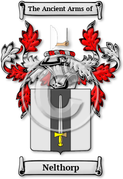 Nelthorp Family Crest Download (jpg) Legacy Series - 150 DPI