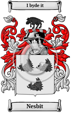 Nesbit Family Crest Download (jpg) Heritage Series - 150 DPI