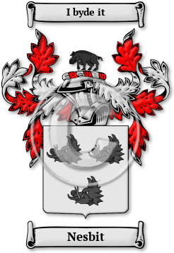 Nesbit Family Crest Download (jpg) Legacy Series - 150 DPI