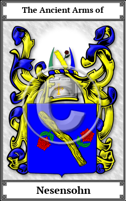 Nesensohn Family Crest Download (JPG)  Book Plated - 150 DPI