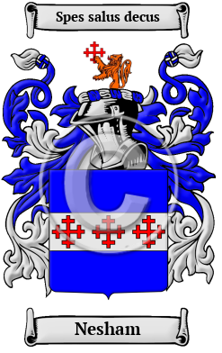 Nesham Family Crest Download (JPG) Heritage Series - 600 DPI