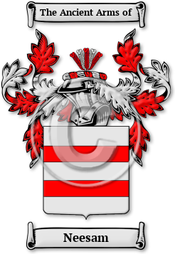 Neesam Family Crest Download (jpg) Legacy Series - 150 DPI