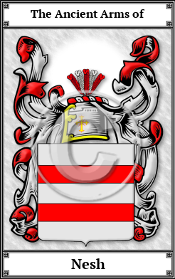 Nesh Family Crest Download (JPG)  Book Plated - 150 DPI