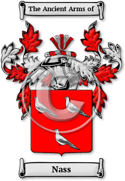 Nass Family Crest Download (JPG) Legacy Series - 300 DPI