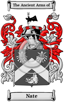 Nate Family Crest Download (JPG) Heritage Series - 600 DPI