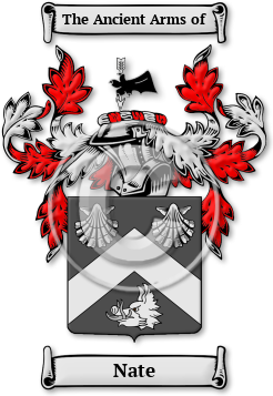 Nate Family Crest Download (JPG) Legacy Series - 600 DPI