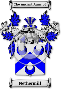 Nethermill Family Crest Download (jpg) Legacy Series - 150 DPI