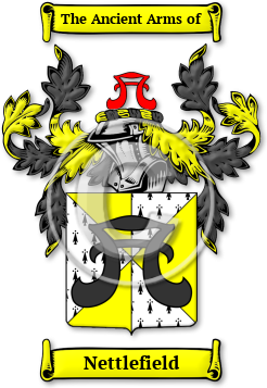 Nettlefield Family Crest Download (JPG) Legacy Series - 600 DPI