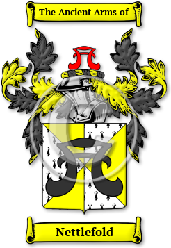 Nettlefold Family Crest Download (jpg) Legacy Series - 150 DPI