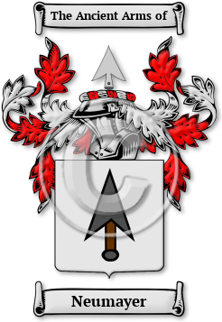 Neumayer Family Crest Download (jpg) Legacy Series - 150 DPI