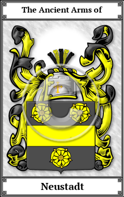 Neustadt Family Crest Download (JPG)  Book Plated - 150 DPI