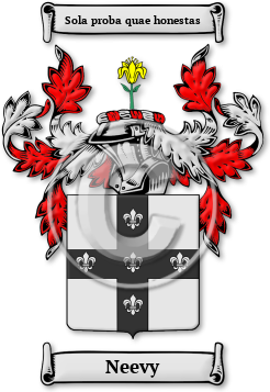Neevy Family Crest Download (jpg) Legacy Series - 150 DPI