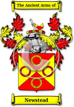Newstead Family Crest Download (jpg) Legacy Series - 150 DPI