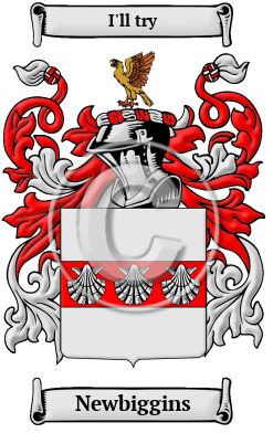 Newbiggins Family Crest Download (JPG) Heritage Series - 600 DPI