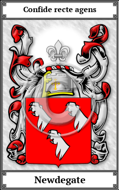 Newdegate Family Crest Download (JPG)  Book Plated - 150 DPI