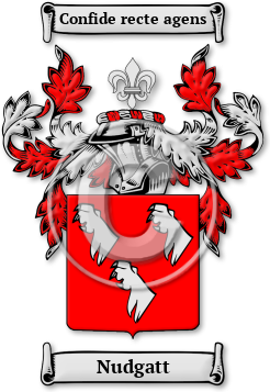 Nudgatt Family Crest Download (jpg) Legacy Series - 150 DPI