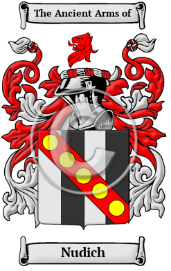 Nudich Family Crest Download (JPG) Heritage Series - 600 DPI