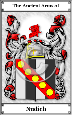 Nudich Family Crest Download (JPG)  Book Plated - 150 DPI