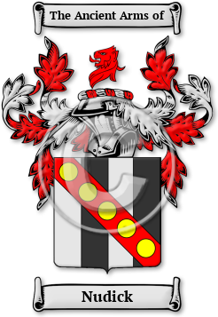 Nudick Family Crest Download (JPG) Legacy Series - 600 DPI