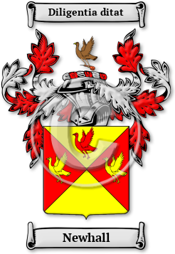 Newhall Family Crest Download (JPG) Legacy Series - 600 DPI