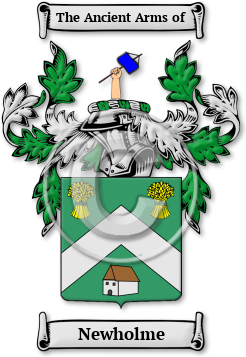 Newholme Family Crest Download (jpg) Legacy Series - 150 DPI