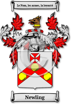 Newling Family Crest Download (jpg) Legacy Series - 150 DPI
