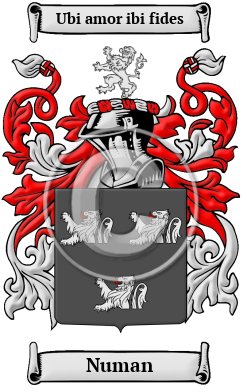 Numan Family Crest Download (JPG) Heritage Series - 600 DPI