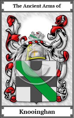 Knooinghan Family Crest Download (JPG)  Book Plated - 150 DPI