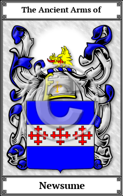 Newsume Family Crest Download (JPG)  Book Plated - 150 DPI