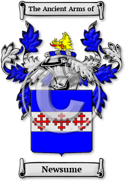 Newsume Family Crest Download (jpg) Legacy Series - 150 DPI