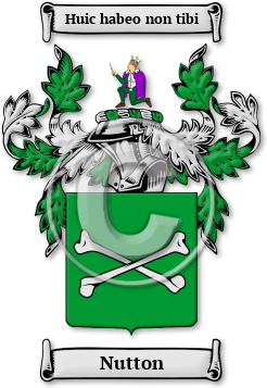 Nutton Family Crest Download (jpg) Legacy Series - 150 DPI