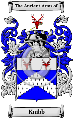 Knibb Family Crest/Coat of Arms