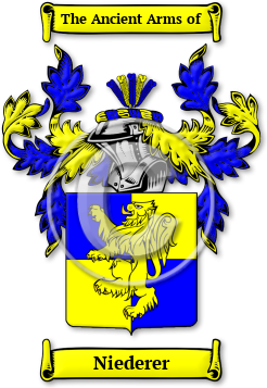 Niederer Family Crest Download (JPG) Legacy Series - 600 DPI