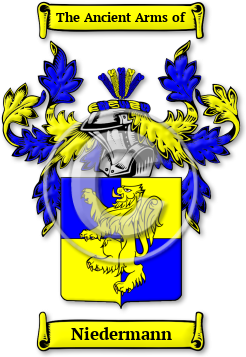 Niedermann Family Crest Download (jpg) Legacy Series - 150 DPI
