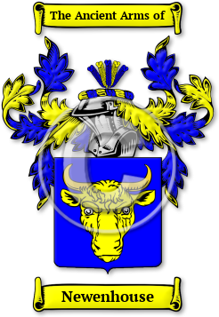 Newenhouse Family Crest Download (JPG) Legacy Series - 600 DPI