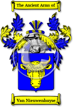 Van Nieuwenhuyse Family Crest Download (JPG) Legacy Series - 600 DPI