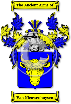 Van Nieuwenhuysen Family Crest Download (JPG) Legacy Series - 300 DPI