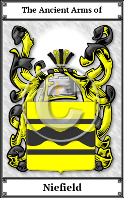 Niefield Family Crest Download (JPG) Book Plated - 600 DPI