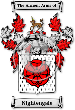 Nightengale Family Crest Download (JPG) Legacy Series - 600 DPI